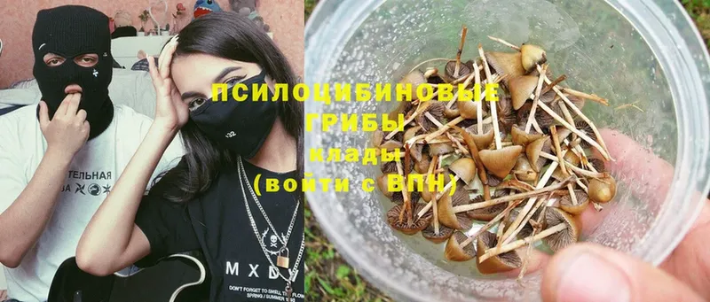 Псилоцибиновые грибы MAGIC MUSHROOMS  Благодарный 